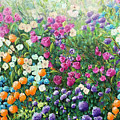 Natures Tapestry 