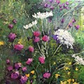 Nova Scotia Wildflowers